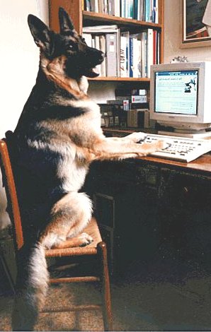 "I've been working all night to post these numbers. What do you mean some dogs have no votes?"
